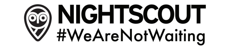 Nightscout Logo